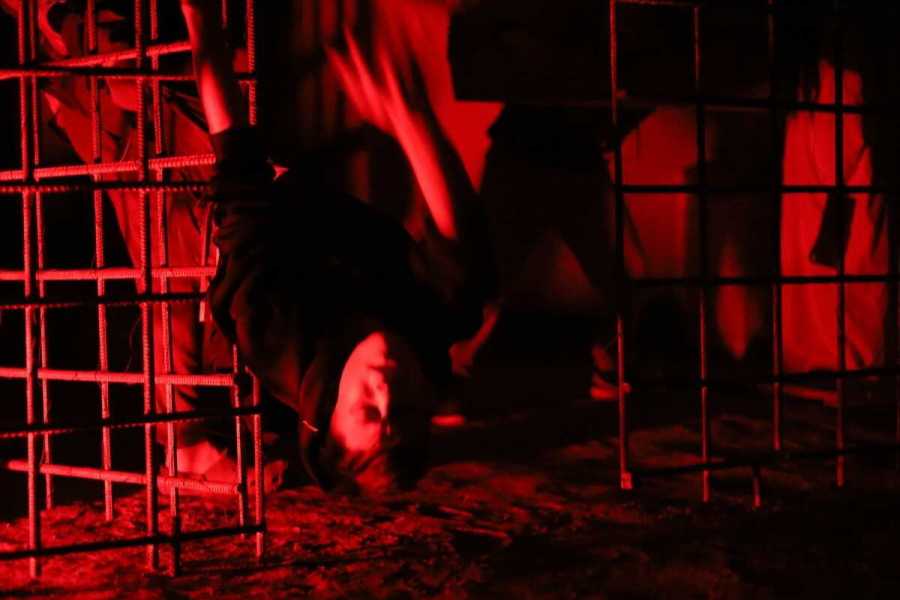 Квест в реальности На привязи от компании Locked 116 Квест в реальности На привязи от компании Locked 116