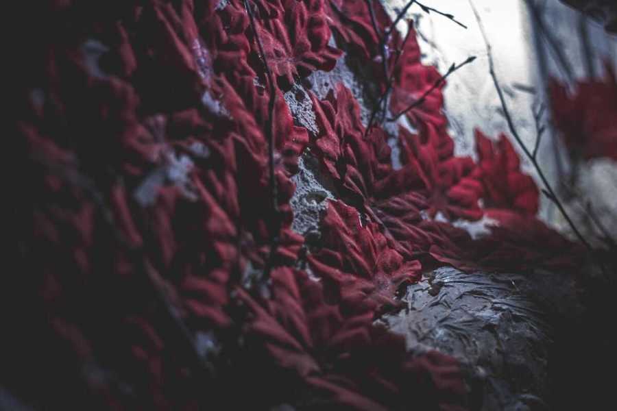 Квест в реальности Дом дракона от компании Выйти из комнаты Квест в реальности Дом дракона от компании Выйти из комнаты